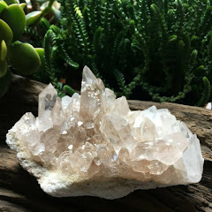 The Divine Crystal Hub - Seeds of Hope