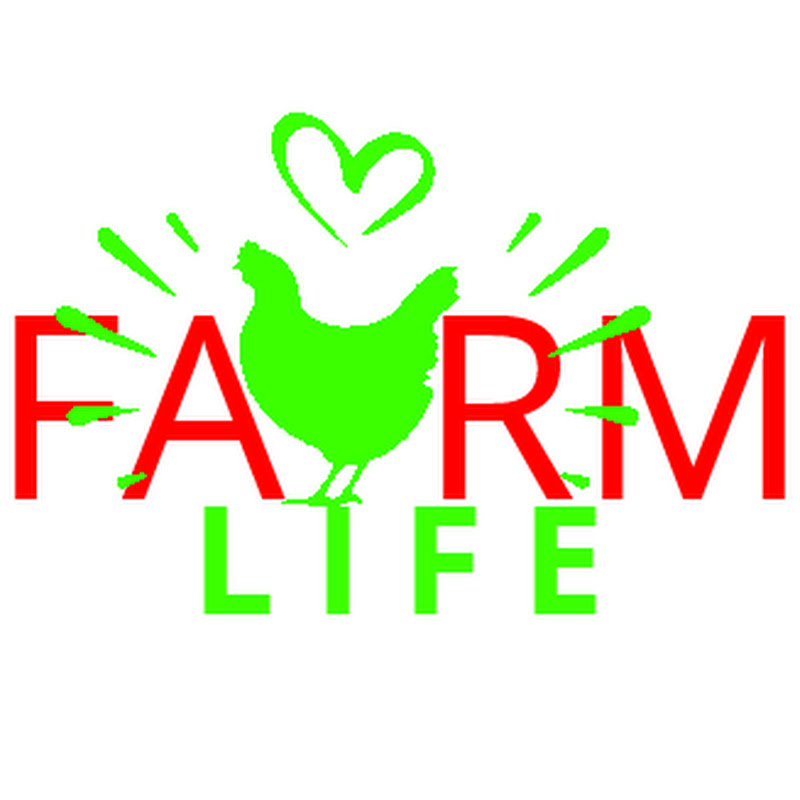 FARM LIFE - Educational videos