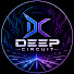 LAutgb0pCdE-channel-avatar-Deep Circuit