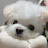 @Muyahooooo