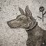 YOR5SKzWMcc-channel-avatar-The Ancient Dog