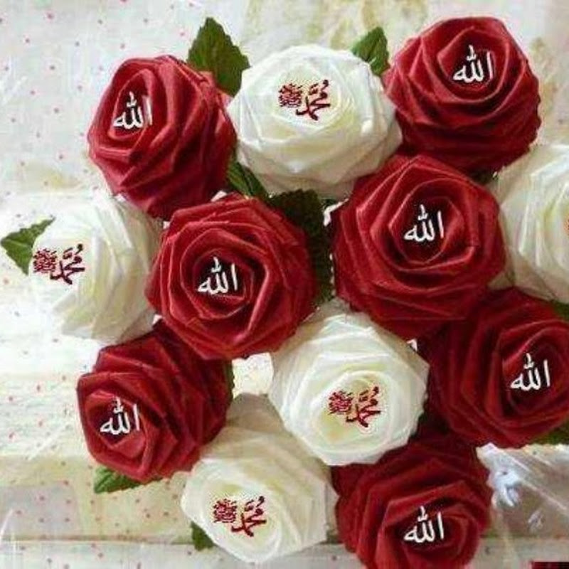 My Cooking World & Vlogs