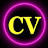 SEO C V