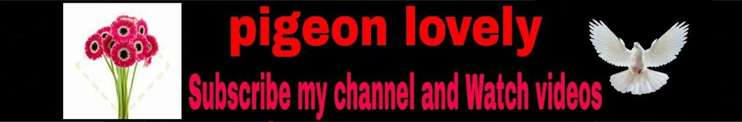pigeon Lovely Avatar channel YouTube 