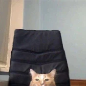 стул.