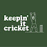 sJsMIBQ-UOU-channel-avatar-Keepin' It Cricket and AB de Villiers 360