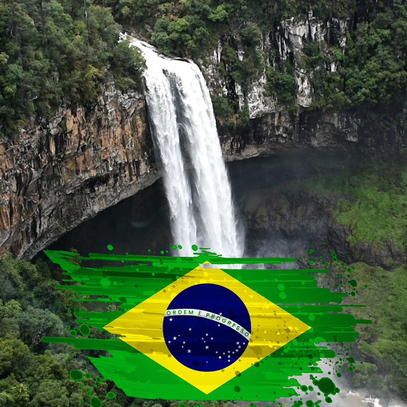 Living 🇧🇷