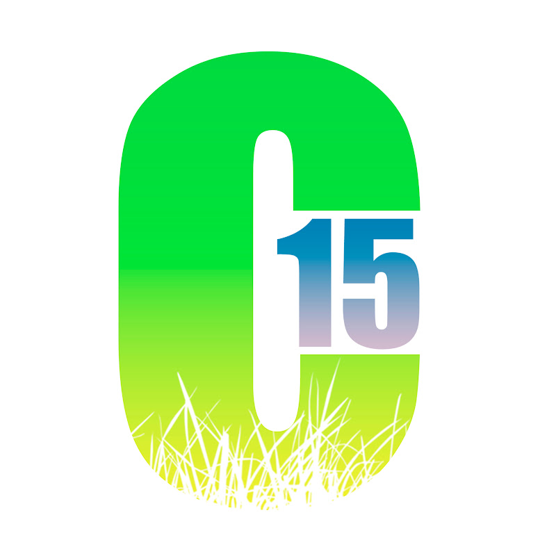 Clean Up 15 Logo