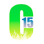 Clean Up 15 logo