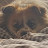 @몽몽이-s2r