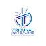 GNT2oAWxn50-channel-avatar-Tribunal de la tarde