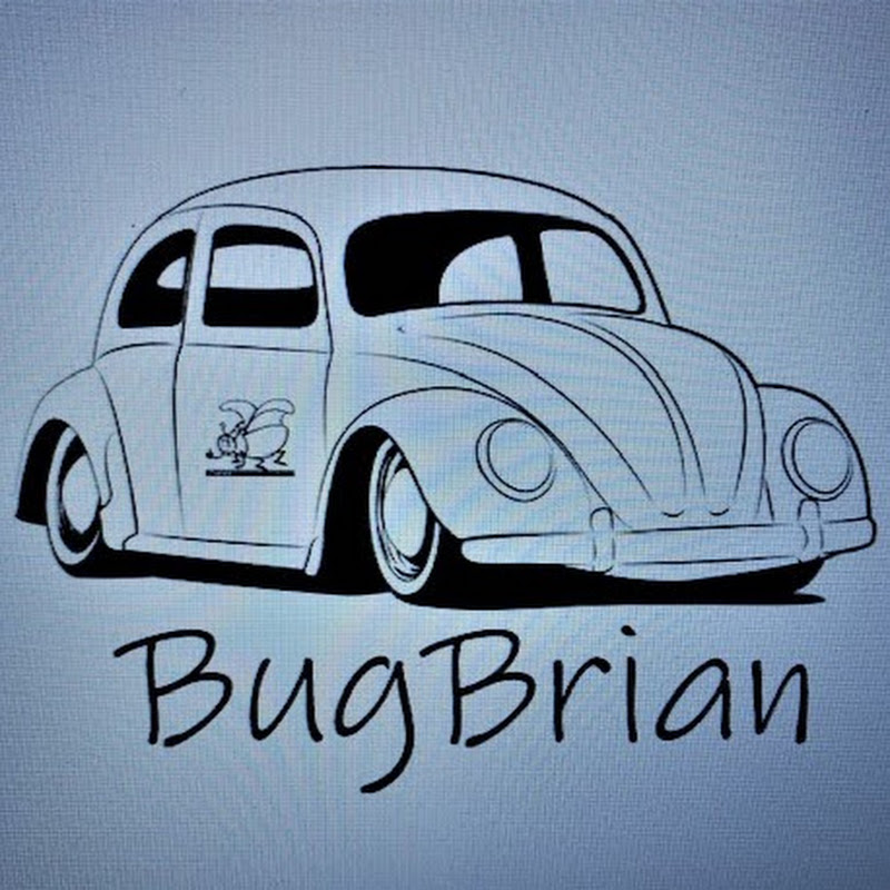 Bug Brian Flips