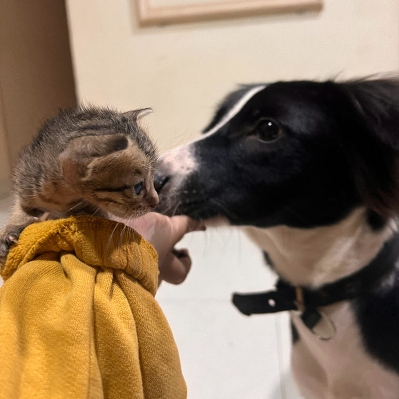 Livelifewitheaseandpeace😊