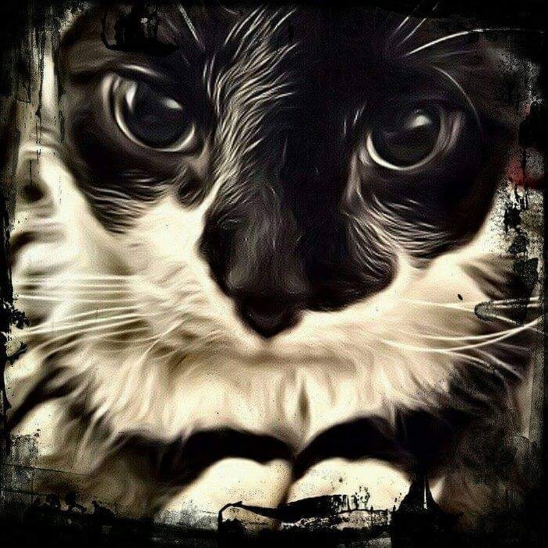 Tuxie's Legacy