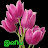 @nandhinidevi1874