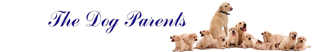 The Dog Parents YouTube channel avatar