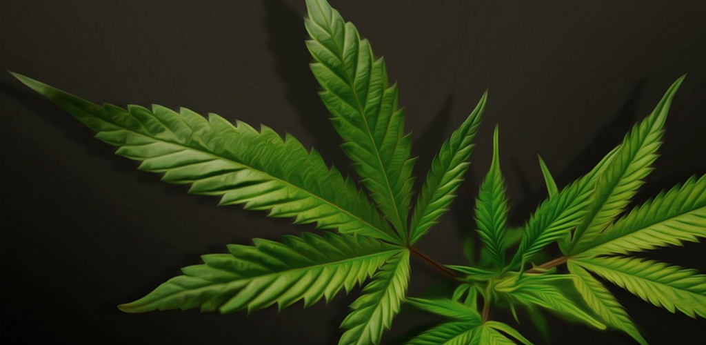 Weed Live Wallpaper APK download | HQ Awesome Live Wallpaper