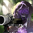Z-kfA35dgjo-channel-avatar-ItsRootz