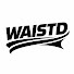 j_e4IR1Rjlg-channel-avatar-WAISTD