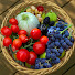 HD03R7rvBr8-channel-avatar-With the Garden