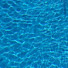 qXx-5T7Mimc-channel-avatar-CCC Aquatics
