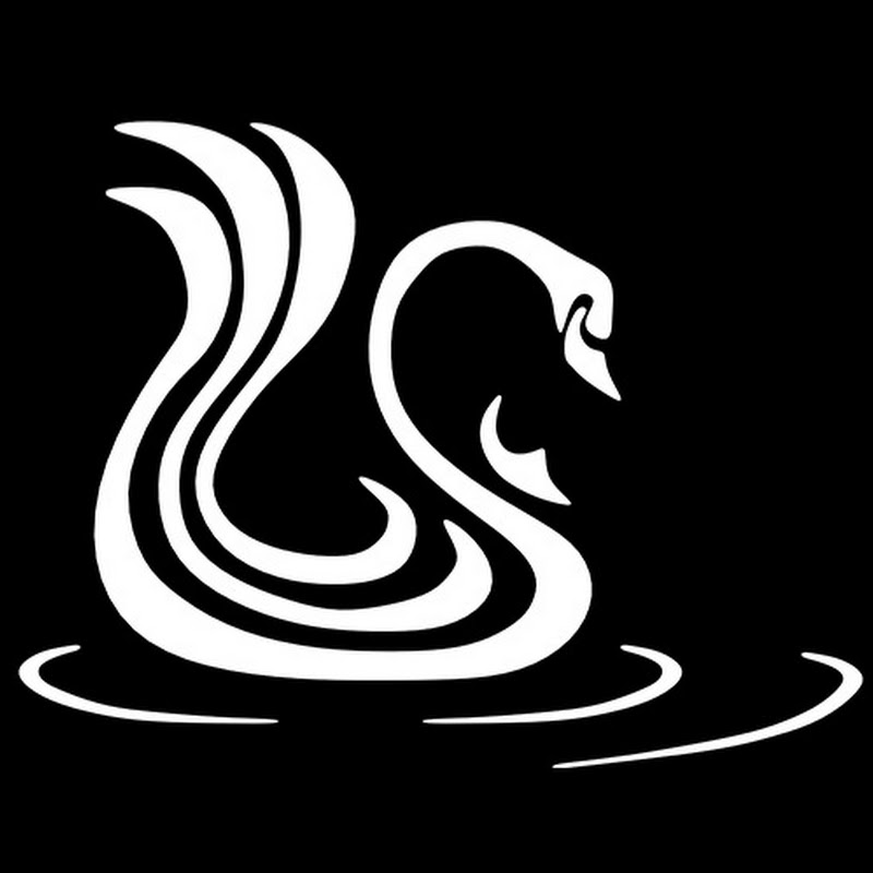 Flying Swan Media