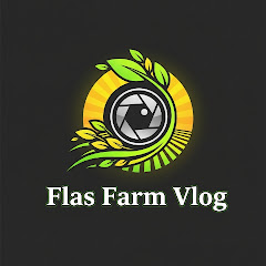 FlashFrame Vlogs
