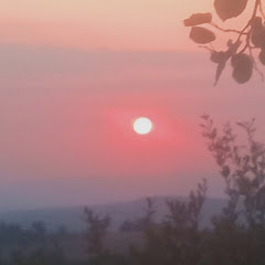 AlperC01 1234 yeni