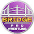 eXZAFBsD65k-channel-avatar-Bridge Pro Wrestling