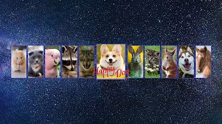 Заставка Ютуб-канала «Happy Dog»
