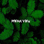 Dream View  logo