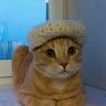 Автор
