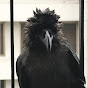 Charlie The Crow logo