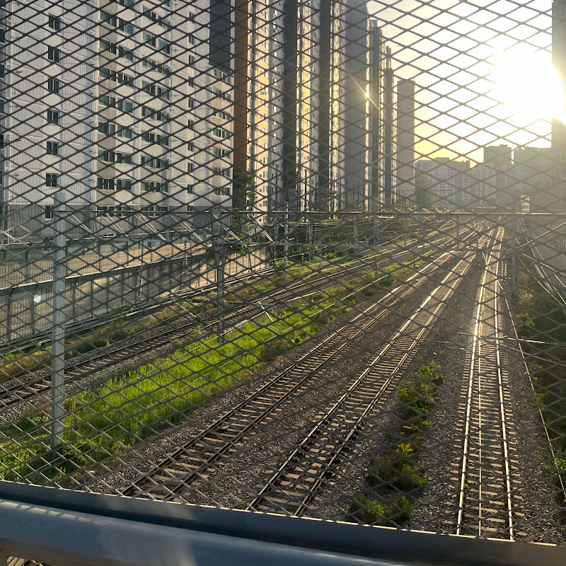 리센느 광팬 