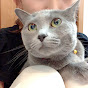 投資チャンネル　もんちゃん