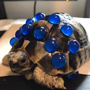 オラホーさんチャンネル　