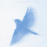 0s_beqkgtXg-channel-avatar-Kim Sung Chul - Topic