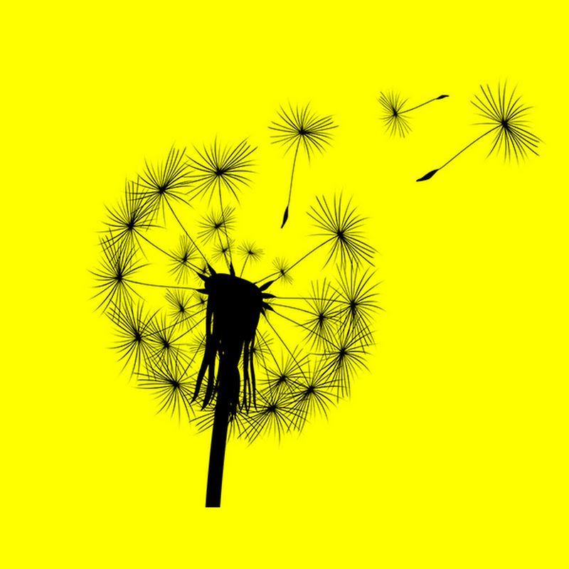 蒲公英电影 Logo