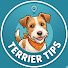 eJzbCdA9iNk-channel-avatar-TerrierTips