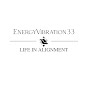 EnergyVibration33 logo