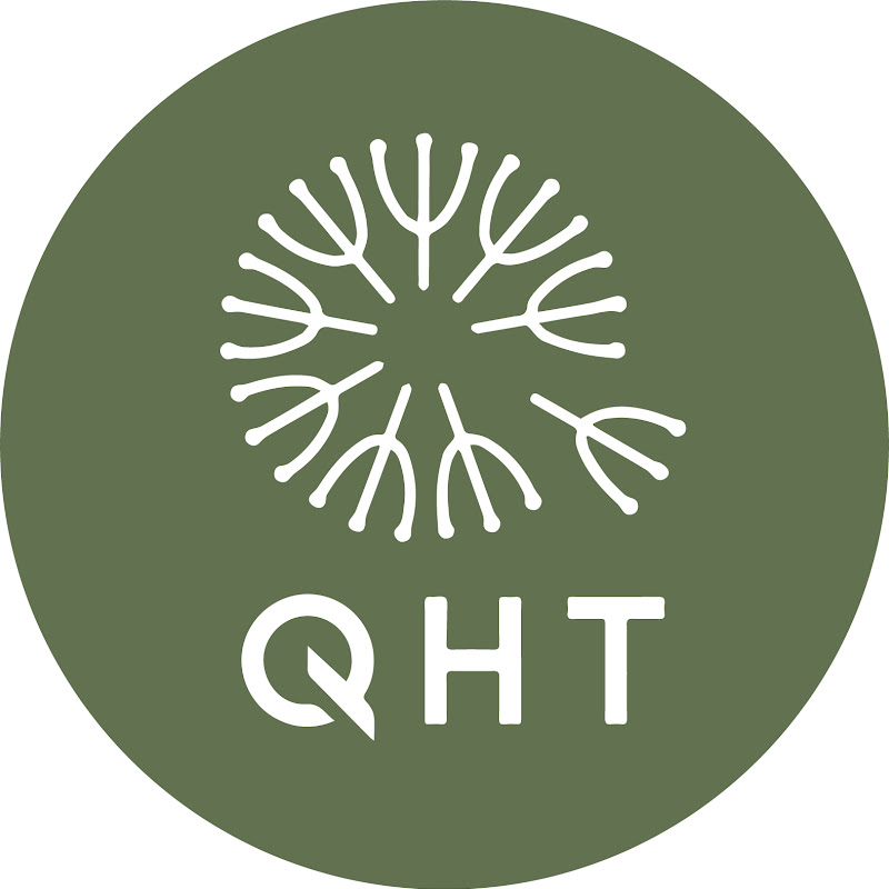 QHT Hair Transplant Clinic