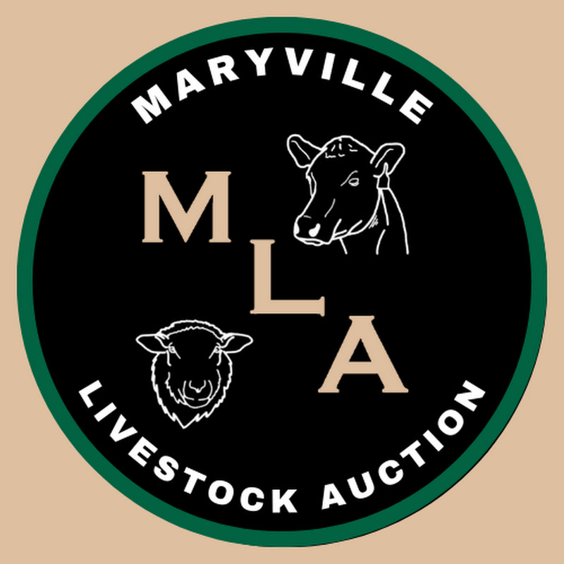 Maryville Livestock Auction icon