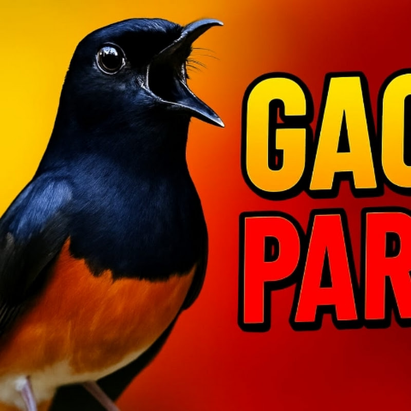GACOR KICAU icon