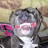 @Quad4vfliv615 Avatar