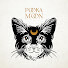 pSCGi2dxloE-channel-avatar-Pooka Moon