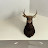 @Jaxon-c1m7n
