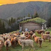 イラン遊牧記録