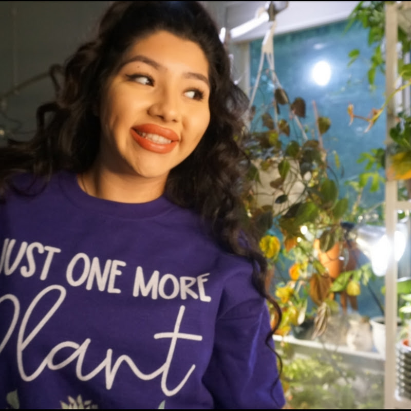 Plant Mamacitaaa