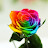 @rainbow-rose7035