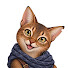 IhjEgYo2t2A-channel-avatar-Nine Lives Through the Bible